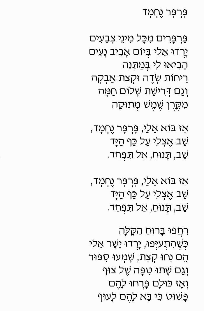 Parpar Nechmad (Nice Butterfly): Hebrew Lyrics, Part 1